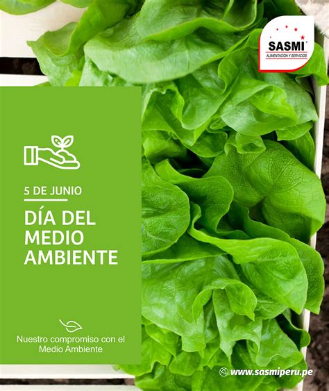 DÍA DEL MEDIO AMBIENTE SASMI PERÚ CONCESIONARIO DE ALIMENTOS