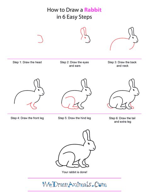 How To Draw A Rabbit