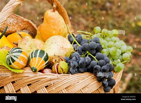 Autumn basket full of fruits Stock Photo - Alamy