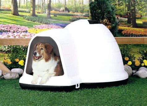 Petmate Indigo Dog House Igloo Dog House Made In Usa With 90