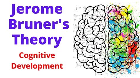 BRUNER Theory Of Cognitive Development Cognitive Development Theory