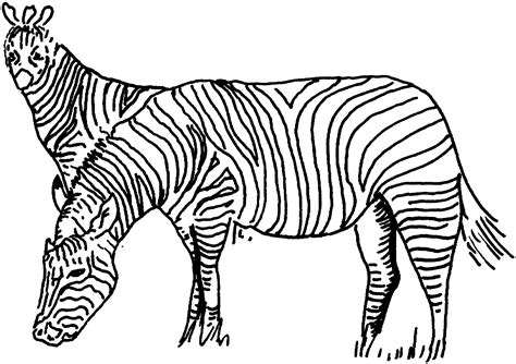 Free Printable Zebra Print Coloring Pages - Printable Templates