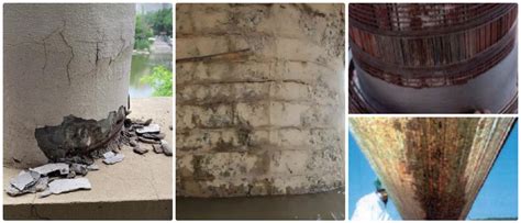 common types  bridge diseases    identify