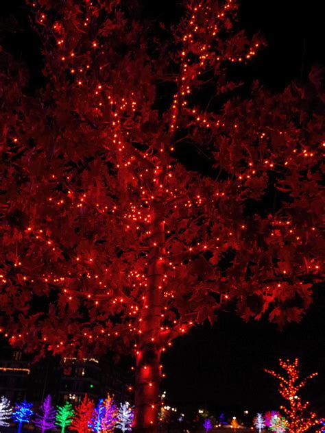 Photography - Vitruvian Park Christmas Lights #46 by moogle212 on ...