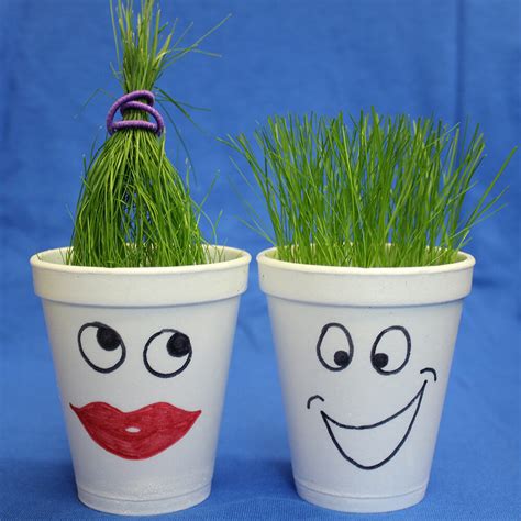 GRASS HEADS | Warman Home Centre