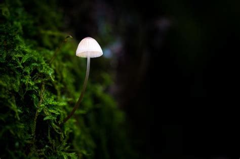 25 Photos Of Small Things In Nature That Will Shock You