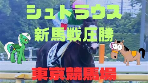 シュトラウス‼️新馬戦圧勝‼️東京競馬場‼️ Youtube