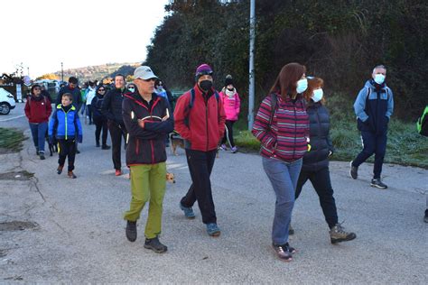 Plazas completas en la Ruta de la Castaña organizada por el Consejo