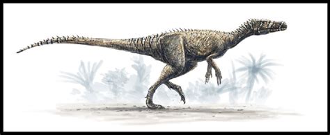 Herrerasaurus Pictures & Facts - The Dinosaur Database