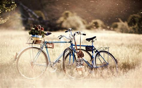 Bike in the nature wallpaper | bikes and motorcycles | Wallpaper Better