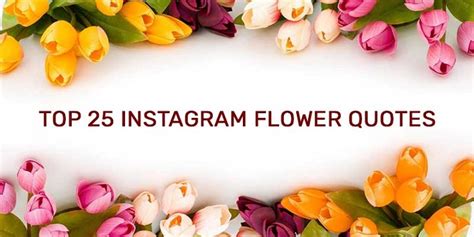 10 Beautiful Instagram Flower Quotes