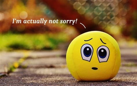 Funny Replies And Witty Comebacks To An Apology Pairedlife