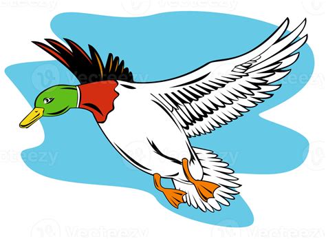 Stockente Fliegt Png