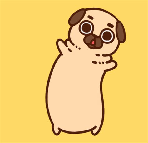 Pug Dance GIFs - Get the best GIF on GIPHY