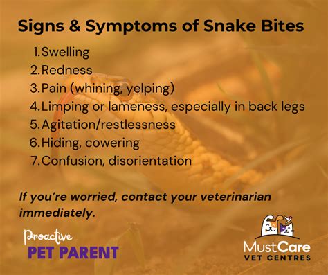 Know the Signs and Symptoms of Snake Bites in Pets | MustCare Vet Centres