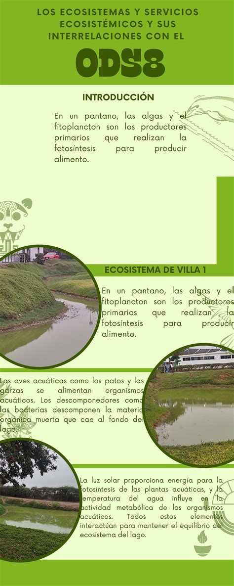 Ecosistema Resumen Educaci N Ambiental Ecosistema De Villa