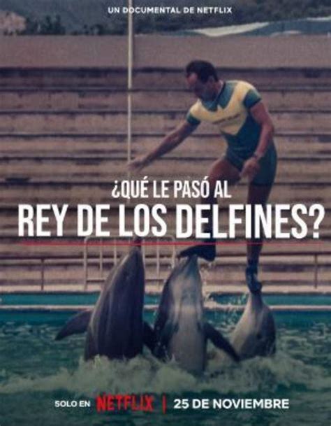 Netflix El ‘rey De Los Delfines Una Película Sobre José Luis Barbero