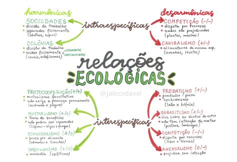 Mapa Mental Rela Es Ecol Gicas Revoeduca