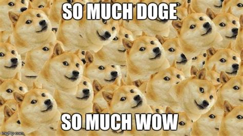 Multi Doge Meme Imgflip