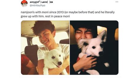 RM's pet Moni: 5 best moments of BTS' Kim Nam-joon with Moni to commemorate the loss of the ...