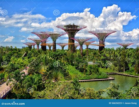 Supertree Grove Gardens By The Bay Singapore Stock Photo Image