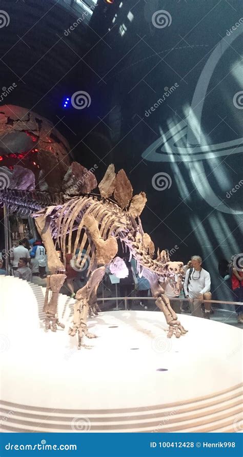 Dinosaur Bones in the Science Museum, London Editorial Stock Photo ...