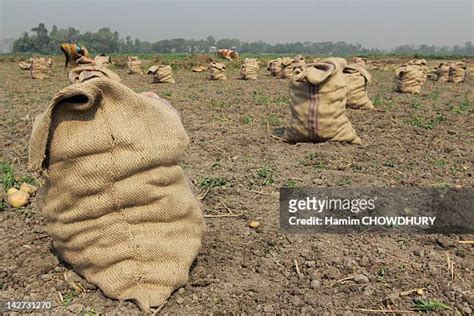 The Potato Sack Photos and Premium High Res Pictures - Getty Images