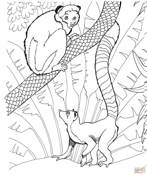 Lemur Coloring Pages Download And Print For Free