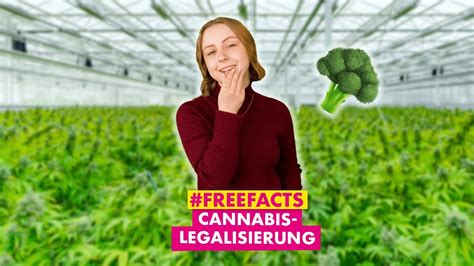 Der Plan zur Cannabis Legalisierung und wie wir ihn verbessern müssen