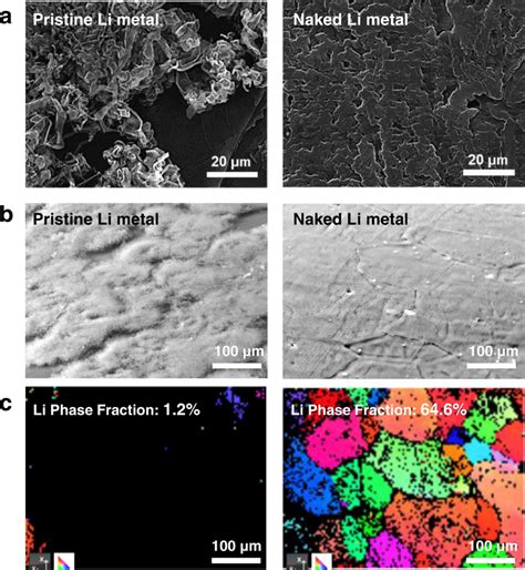 Effect Of Naked Li Surface On The Morphology Of The Li Deposit A Sem