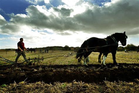 Keeping Ploughing Tradition Alive Express Star