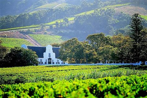 Private Constantia Wine Tour from Cape Town 2024