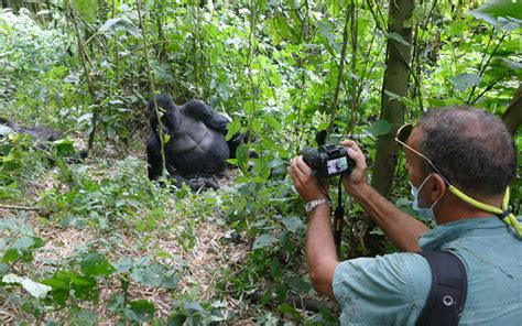 3 Day Bwindi Mountain Gorilla Habituation Center Safari