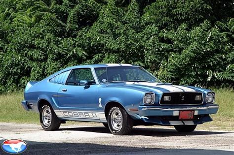 '76 Mustang Cobra II. I miss that car