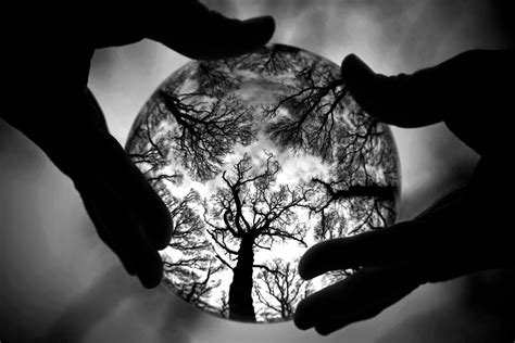 Crystal Ball Forrest Reflection Photography Crystal Ball Glass Photography