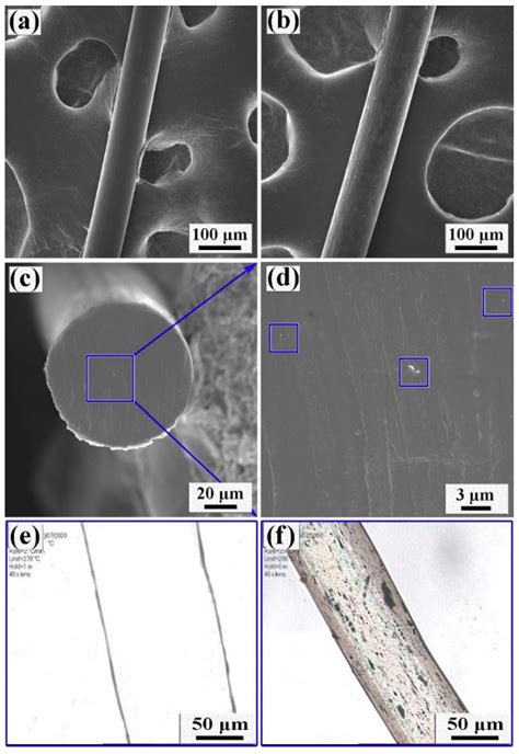 Fibers Free Full Text Facile Fabrication Of Pa66gomwnts Cooh Nanocomposites And Their Fibers