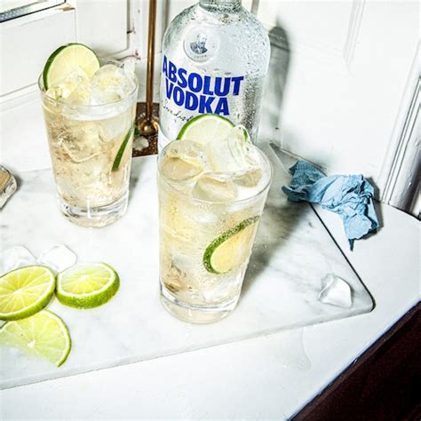 Vodka Ginger Ale Recipe | Absolut Drinks