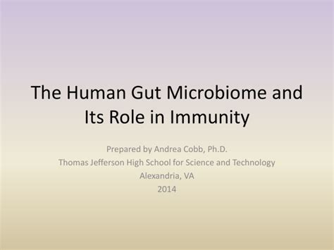 The Human Gut Microbiome and Its Role in Immunity