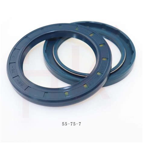 High Pressure Cfw Babsl 55 75 7 Hydraulic Pump NBR FKM Tcv Oil Seal