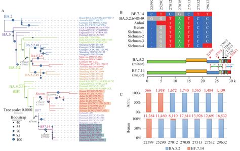 Genomic Recombination Of SARS CoV 2 Subvariants BA 5 2 48 And BF 7 14