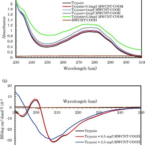 A UV Visible Absorption Spectra Of Trypsin C Trypsin 2 0 10 5