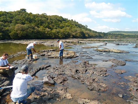 Monitoramento E Salvamento De Ictiofauna Na Bacia Do Rio Canoas Regi O