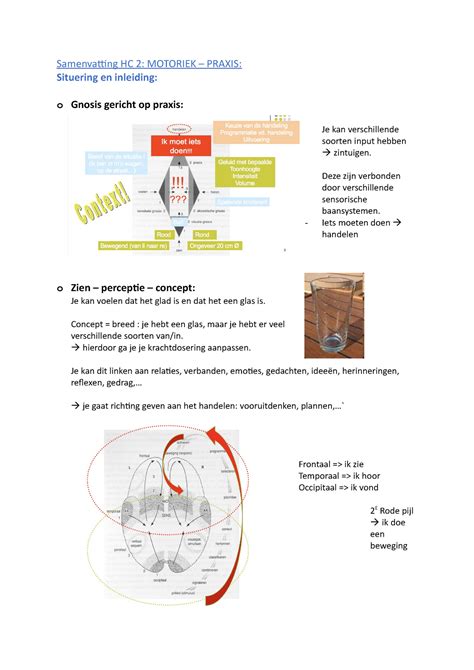 Samenvatting HC 2 Ergotherapie Samenvatting HC 2 MOTORIEK PRAXIS