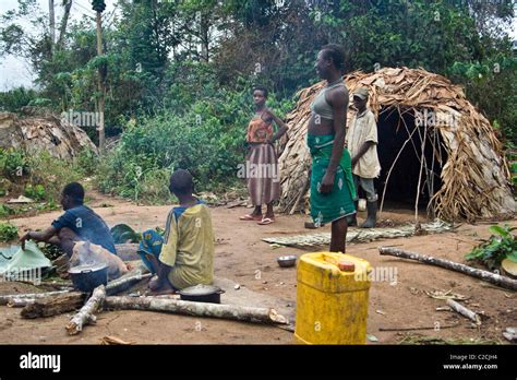 Pygmies In Forest Republic Congo Hi Res Stock Photography And Images