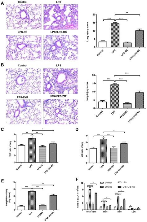 Hmgb Participates In Lpsinduced Acute Lung Injury By Activating The