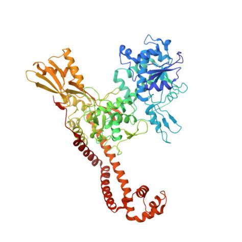 Rcsb Pdb 2xcr The 35a Crystal Structure Of The Catalytic Core Ba