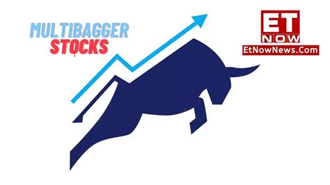 Multibagger Stocks How To Identify One Nikunj Dalmia Lists Key