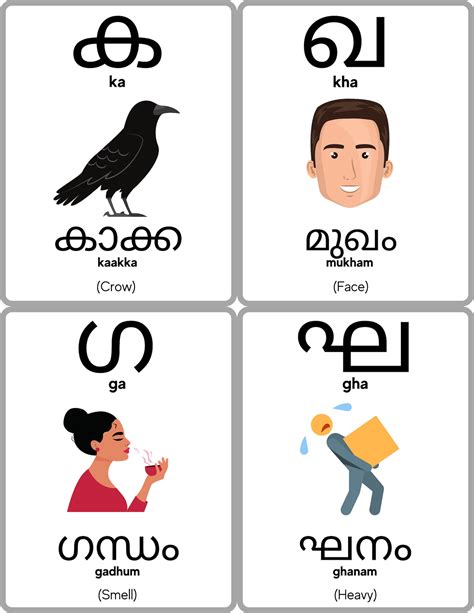 Malayalam Alphabet Flashcards Malayalam Consonants Learn Malayalam