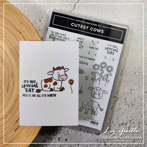 Simplestamping Saturday Featuring Cutest Cows From Stampin Up Old