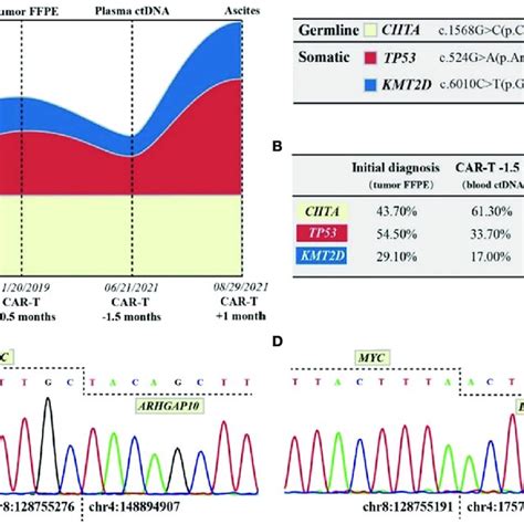 Dna High Throughput Sequencing Results And Analysis A Schematic